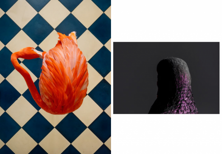 The Art of Volume: Mastering Balloon Pants for the New Season