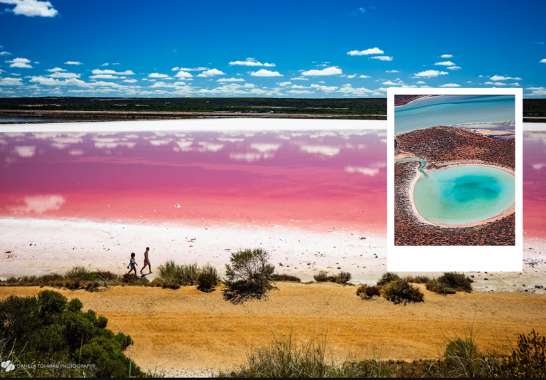 Western Australia’s pink lakes: nature’s pastel spectacle under threat