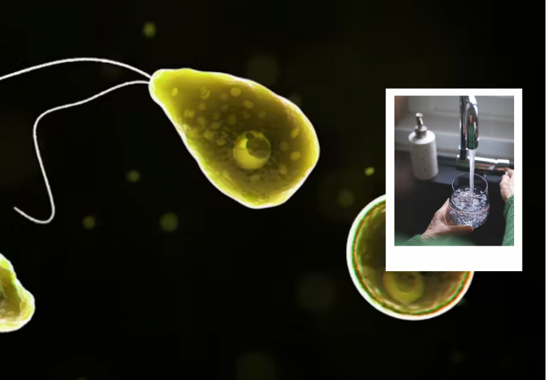 Brain-Eating Amoeba: Can You Catch It from Drinking Tap Water?