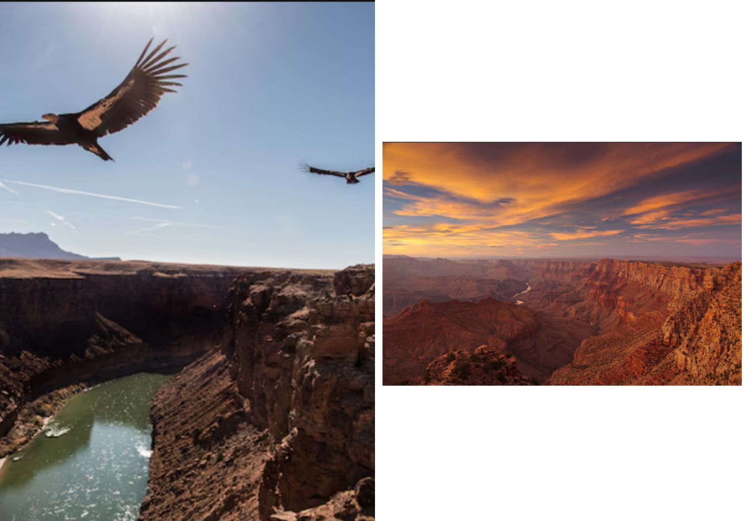 The No-Waste Wanderer: A Guide to Plastic-Free Travel