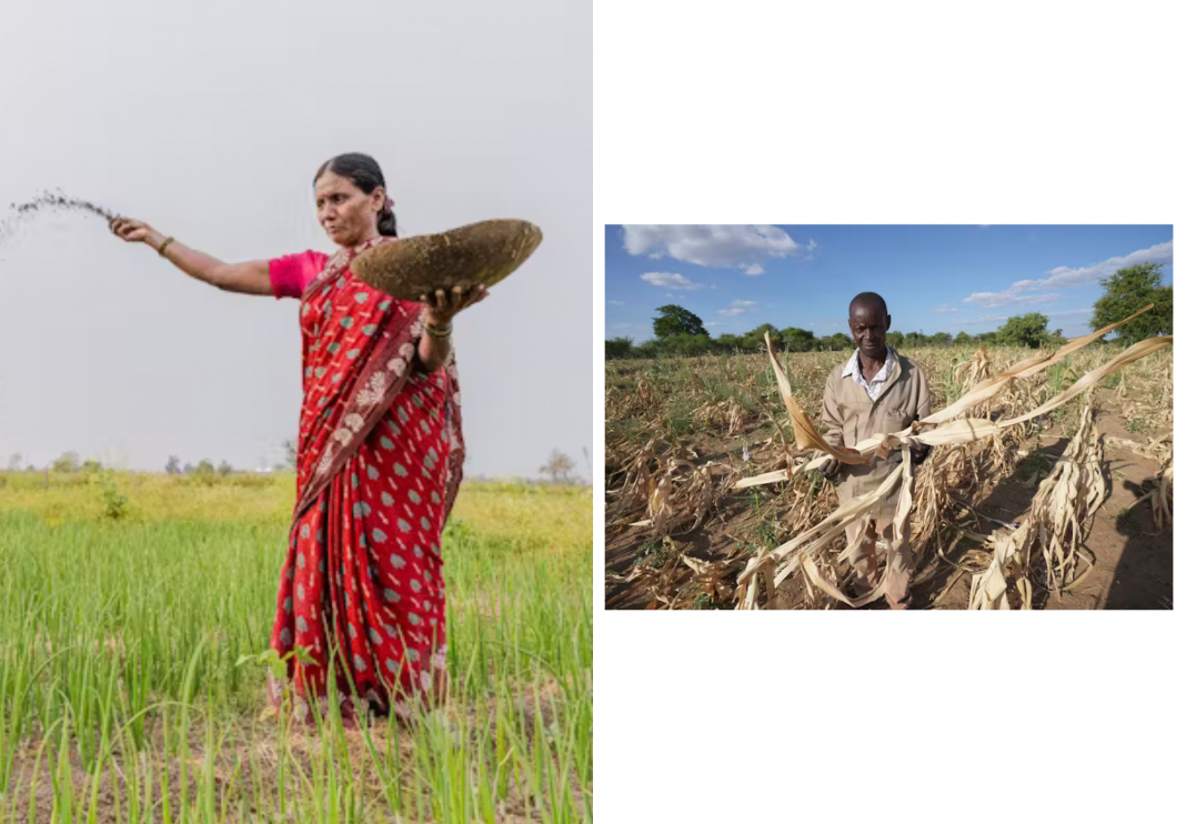 The Algorithmic Harvest: AI and the Future of Farming