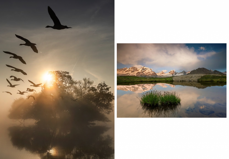 The Unlikely Feast: How Alien Life Could Thrive on the Detritus of Dying Stars