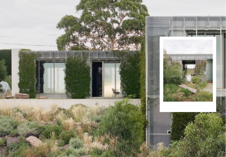 The Hedge and Arbour House: When Architecture Defers to the Dynamic Power of Nature