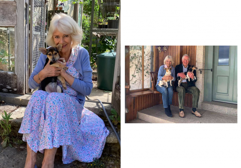 The Swipe Left Saga: Tinder Originals Battle ‘Lie’ In New Whitney Wolfe Herd Film