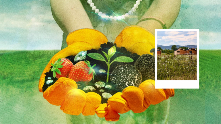 Luxury goes rustic: How $3,000-a-night farm resorts became the new glam escape