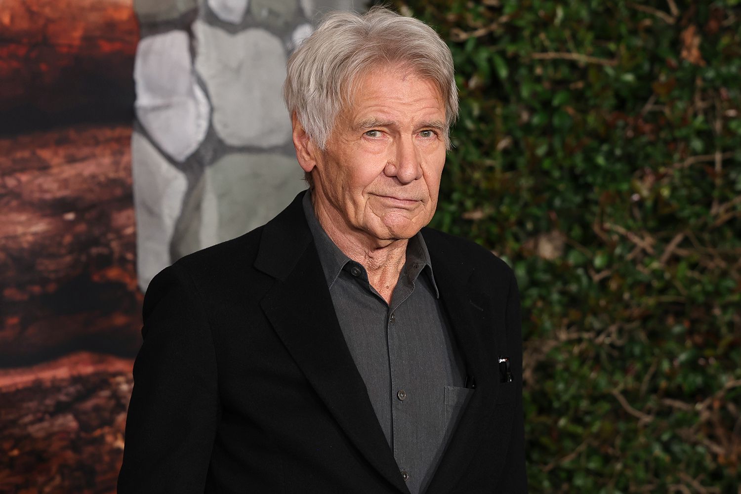 Harrison Ford Cancels Oscars Presenting Role After Shingles Diagnosis