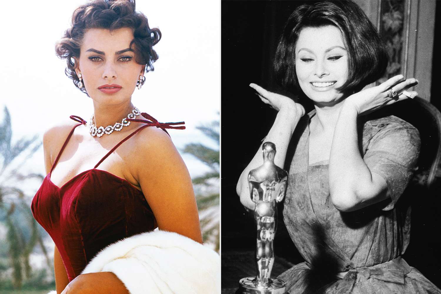 Oscars Flashback: Sophia Loren Missed Her Best Actress Win at the 1962 Ceremony to Stay Home and Make Sauce